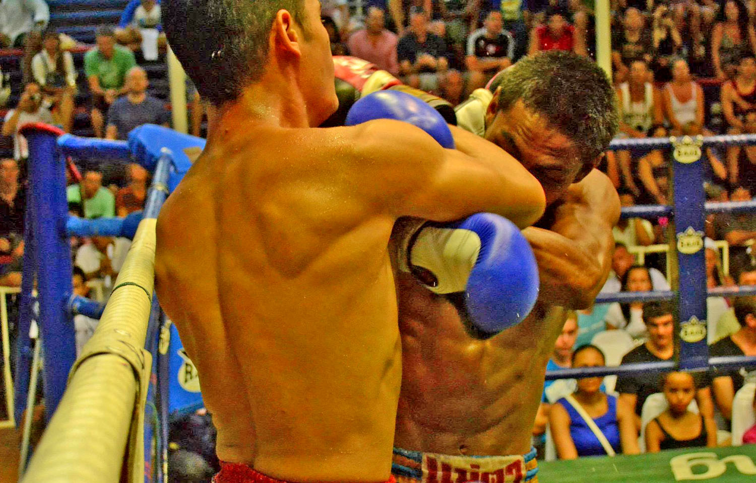 Combattimento di Boxe Thailandese, Bangkok, Tailandia