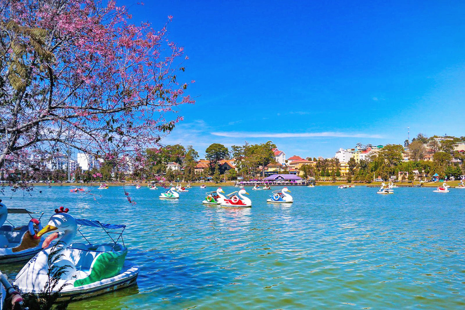 Da Lat, cosa visitare: lago Xuan Huong