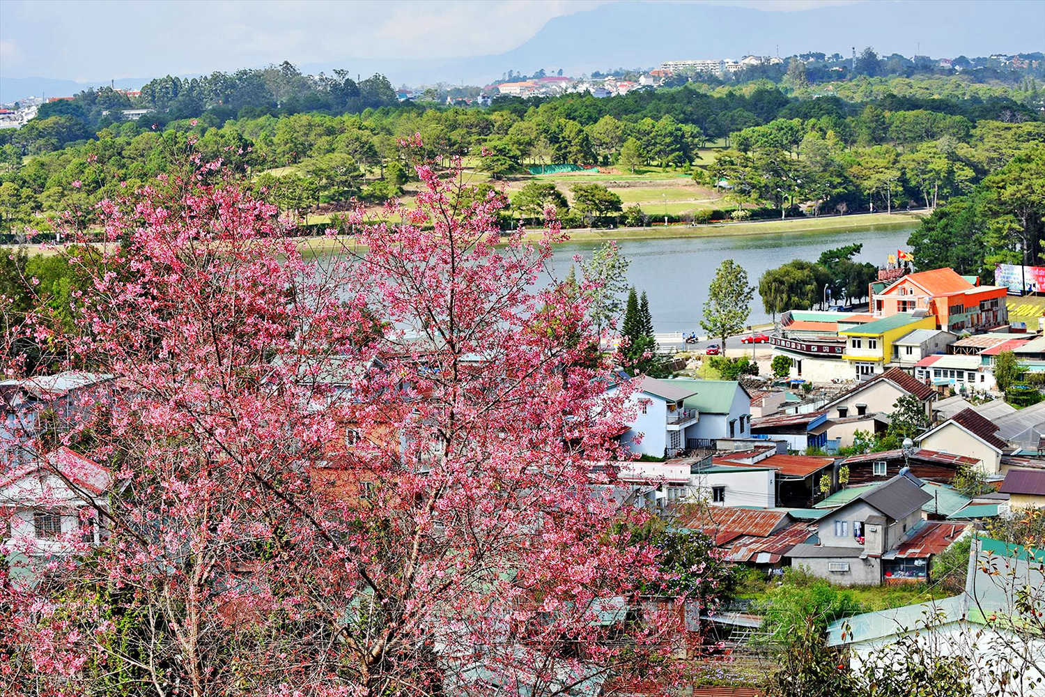 Da Lat, Città dei Fiori, sud Vietnam