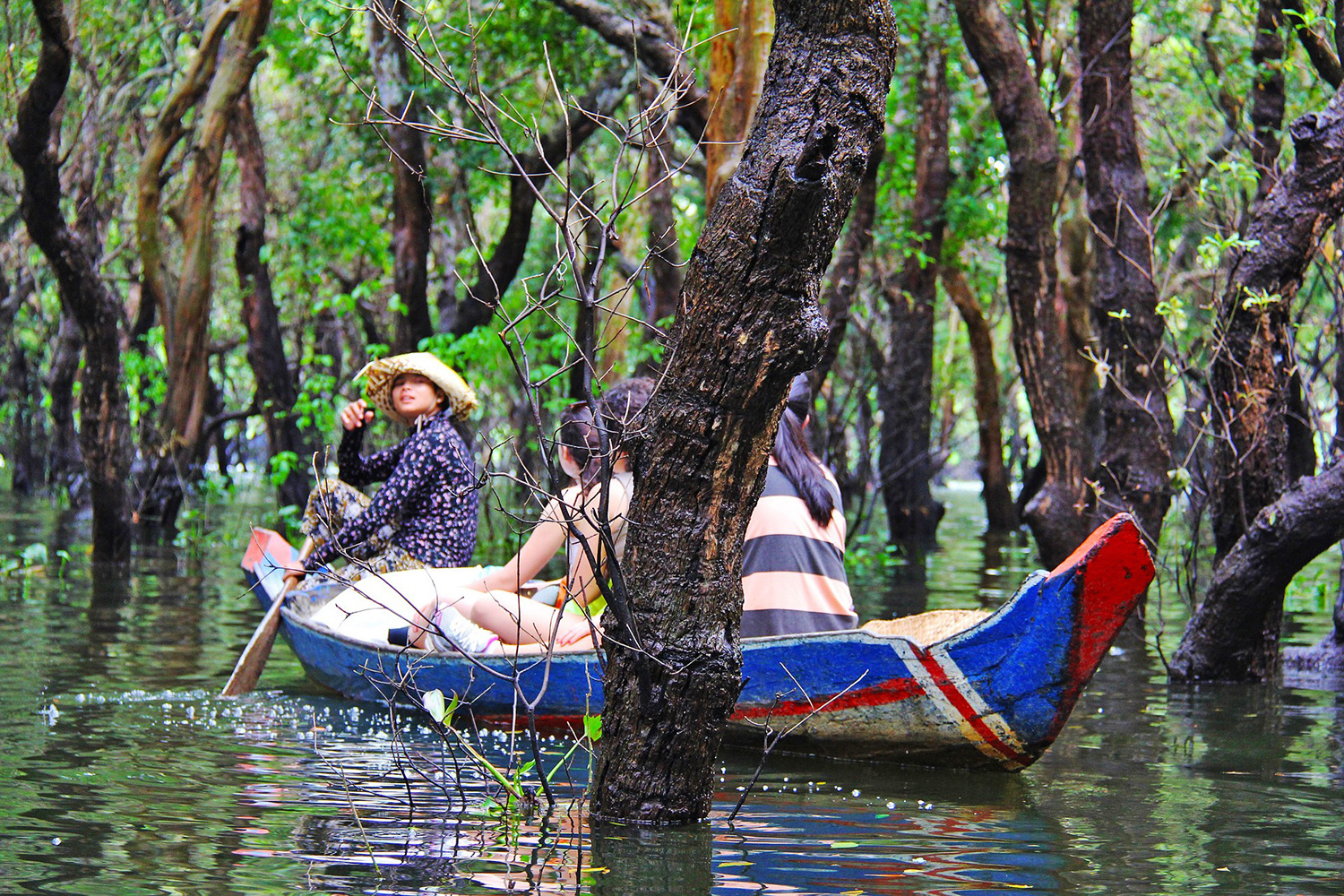 Cosa visitare nei dintorni di Ho Chi Minh: Can Gio forest la foresta di mangrovie